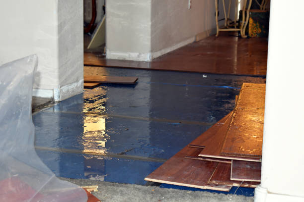 Professional Water Damage Restoration technician working in Brownsville, LA